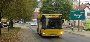 Komunikacją miejską na eurowybory
